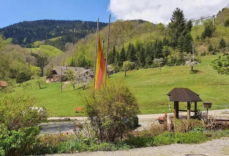 Schwarzwald Idyll Oberharmersbach Esterno foto
